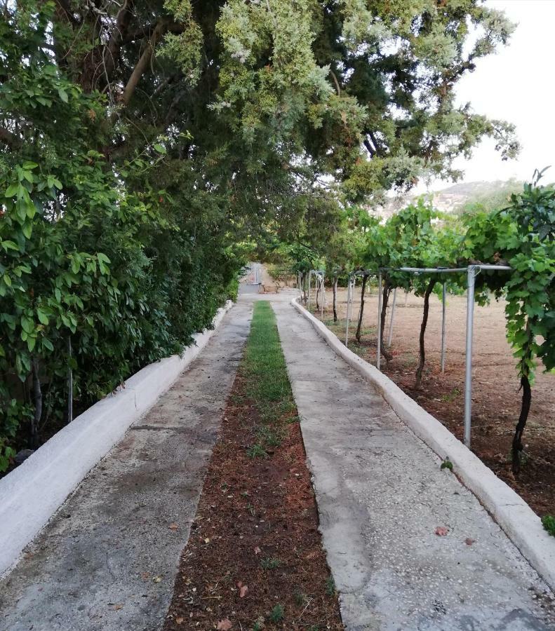 Apartment Dreamhome -10min From Airport- Artemida (Attica)